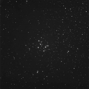 M29 30s by Scott Mitchell