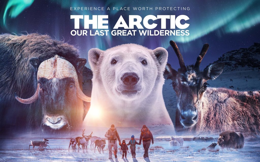 The Arctic